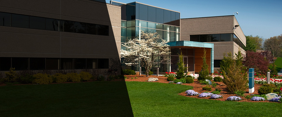 Lansing Landscapers